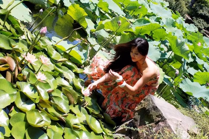 Người đẹp cho biết, rất nhớ đồng quê Việt Nam khi nhìn thấy loài hoa này. Người đẹp cho biết, rất nhớ đồng quê Việt Nam khi nhìn thấy loài hoa này.