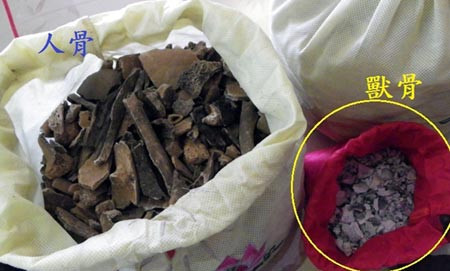 Số hài cốt người (trái) và xương lợn trộn (phải) bị lực lượng chức năng thành phố Đài Bắc, Đài Loan phát hiện thu giữ.