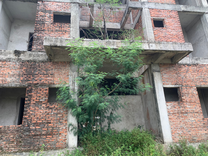 Người dân địa phương cho biết, công trình ký túc xá được xây dựng từ năm 2009 đến 2013, thì dừng lại. Sau gần 7 năm bỏ hoang, cỏ mọc um tùm quanh các khu nhà, dây leo quấn quanh bờ tường...