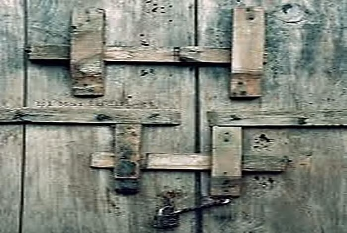 Quân sư… con cóc ảnh 2