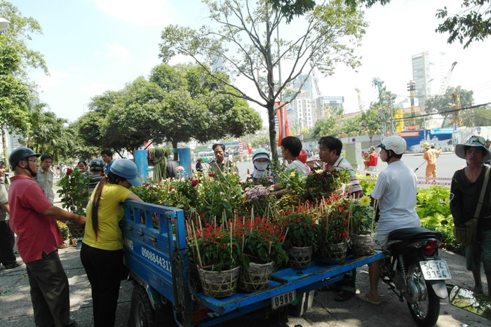 Bán tháo, bán đổ hoa sống đời, hoa hồng ở công viên 26/3. Mỗi chậu hoa chỉ còn 20 ngàn, giảm phân nửa giá so với những ngày trước đó. Bán tháo, bán đổ hoa sống đời, hoa hồng ở công viên 26/3. Mỗi chậu hoa chỉ còn 20 ngàn, giảm phân nửa giá so với những ngày trước đó.