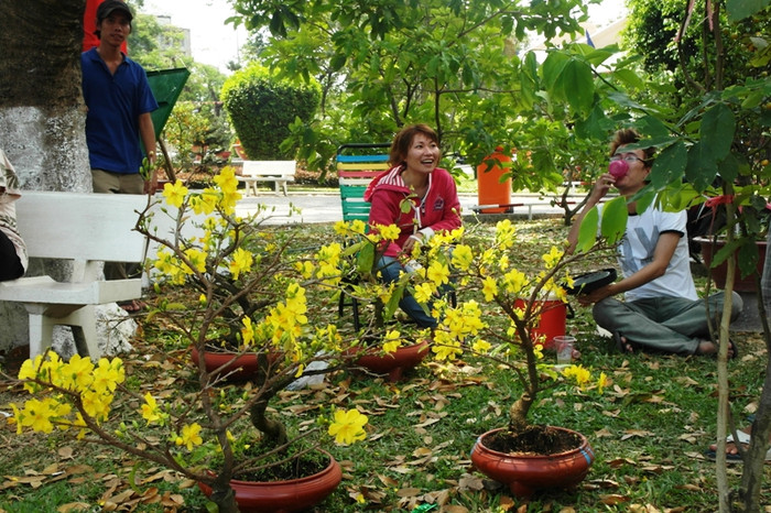 Thảo, chở những chậu mai này từ Bến Tre lên TP.HCM bán. Thảo cho biết năm nay mai bán chậm, dù phải canh cho mai nở đúng mồng Một rất vất vả. Chiều 29 tết, Thảo bán được nhiều mai hơn nhưng lại phải giảm giá xuống còn 200 ngàn một chậu nên không có lời. Những ngày trước đó, mỗi chậu mai thế này có giá khoảng 350 ngàn. Thảo, chở những chậu mai này từ Bến Tre lên TP.HCM bán. Thảo cho biết năm nay mai bán chậm, dù phải canh cho mai nở đúng mồng Một rất vất vả. Chiều 29 tết, Thảo bán được nhiều mai hơn nhưng lại phải giảm giá xuống còn 200 ngàn một chậu nên không có lời. Những ngày trước đó, mỗi chậu mai thế này có giá khoảng 350 ngàn.