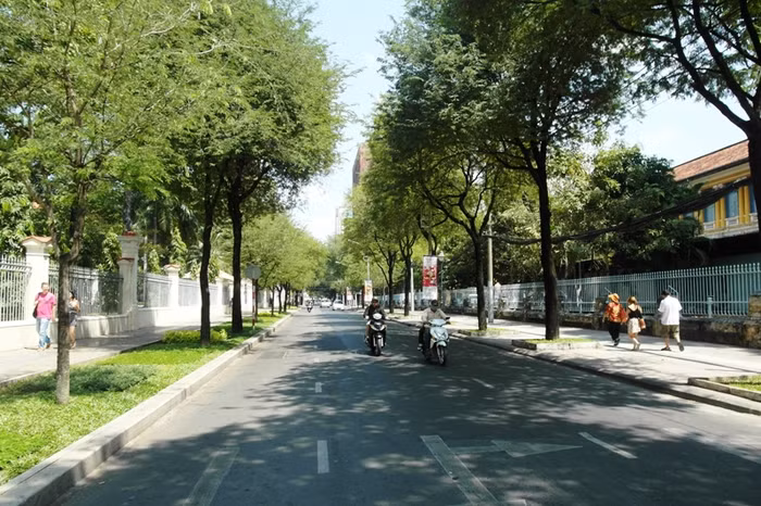 Đường Nguyễn Du rợp bóng mát cây xanh, khung cảnh thật, thoáng đãng. Đường Nguyễn Du rợp bóng mát cây xanh, khung cảnh thật, thoáng đãng.