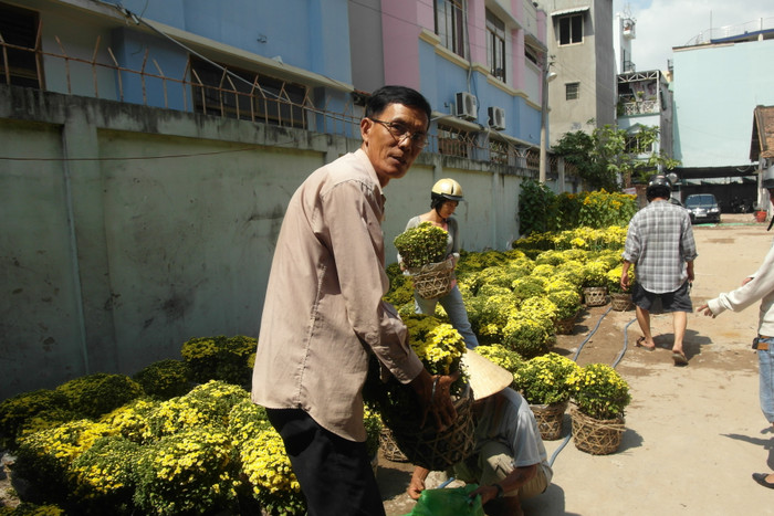 Chiều 29 Tết, ông Nhất (quê ở Sa Đéc, Đồng Tháp) đang rất lo lắng vì còn tồn lại khoảng 200 chậu hoa cúc mâm xôi. Ông than vãn: "Năm nay bán tệ quá chú à. Tôi chỉ bán được 1/3 số lượng hoa mang lên. Hôm nay bán tháo, bán đổ để mong hết hàng, về quê cúng ông bà. Mấy ngày trước một chậu hoa cúc tui bán 100 ngàn, giờ giảm còn 40 ngàn mà không ai mua. Coi như tui lỗ vốn rồi". Chiều 29 Tết, ông Nhất (quê ở Sa Đéc, Đồng Tháp) đang rất lo lắng vì còn tồn lại khoảng 200 chậu hoa cúc mâm xôi. Ông than vãn: "Năm nay bán tệ quá chú à. Tôi chỉ bán được 1/3 số lượng hoa mang lên. Hôm nay bán tháo, bán đổ để mong hết hàng, về quê cúng ông bà. Mấy ngày trước một chậu hoa cúc tui bán 100 ngàn, giờ giảm còn 40 ngàn mà không ai mua. Coi như tui lỗ vốn rồi".