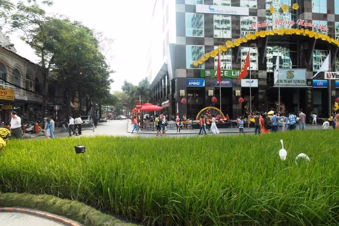 Người dân thành phố rất thích thú với góc quê này.