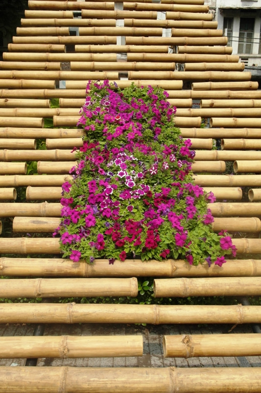 Sắc tím trên những ống tre. Sắc tím trên những ống tre.