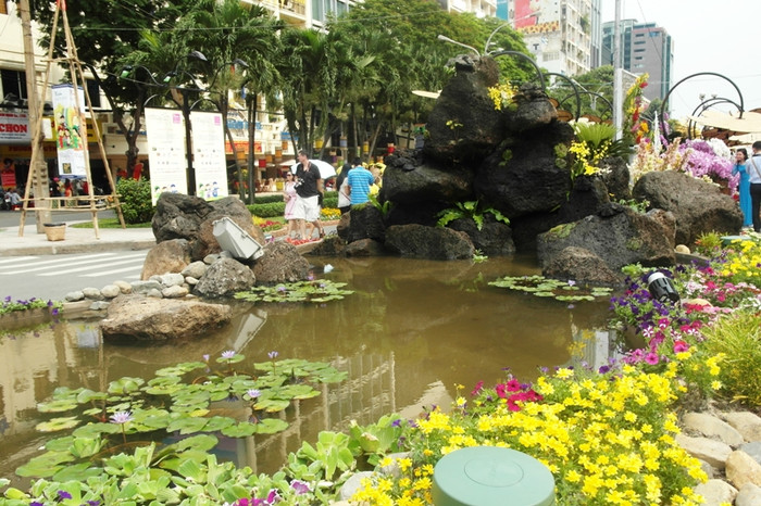 Ao hoa súng hiện diện giữa trung tâm thành phố. Ao hoa súng hiện diện giữa trung tâm thành phố.