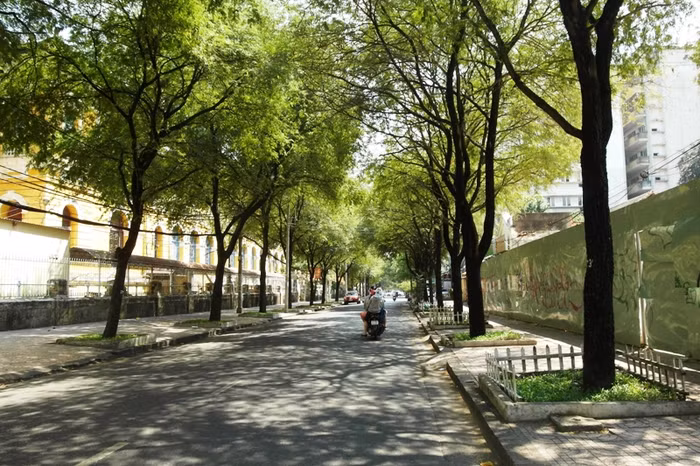 Đường Nguyễn Trung Trực, Quận 1. Đường Nguyễn Trung Trực, Quận 1.