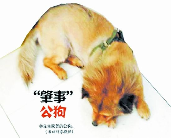 "Hung thủ" của vụ cưỡng dâm hy hữu