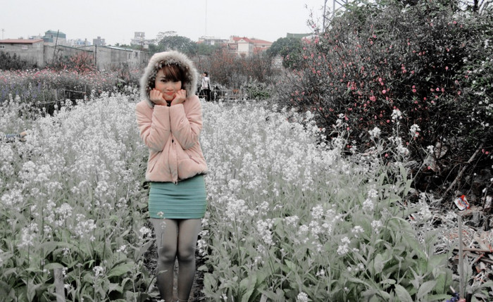 Thí sinh Đào Tú Linh dẫn đầu Nữ sinh trong mơ ngày 3/5 Thí sinh Đào Tú Linh dẫn đầu Nữ sinh trong mơ ngày 3/5