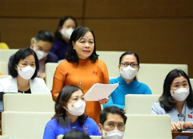 Đại biểu Nguyễn Thị Mai Hoa phát biểu. Ảnh: TTXVN Đại biểu Nguyễn Thị Mai Hoa phát biểu. Ảnh: TTXVN