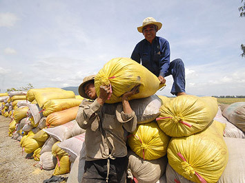 Nông dân vay vốn không cần thế chấp giấy chứng nhận quyền sử dụng đất. Ảnh minh họa. Nông dân vay vốn không cần thế chấp giấy chứng nhận quyền sử dụng đất. Ảnh minh họa.