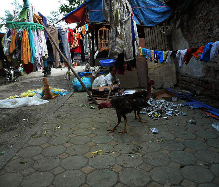 Cuộc sống của người dân xóm “Cống thối”. Cuộc sống của người dân xóm “Cống thối”.