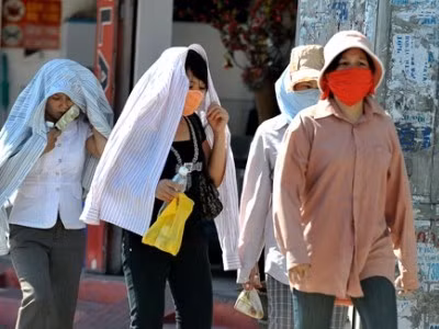 ảnh minh họa (nguồn Internet)