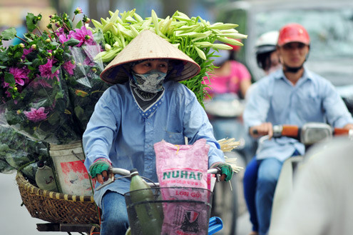 Hoa loa kèn tháng 4 đã tràn ngập trên đường Hà Nội.