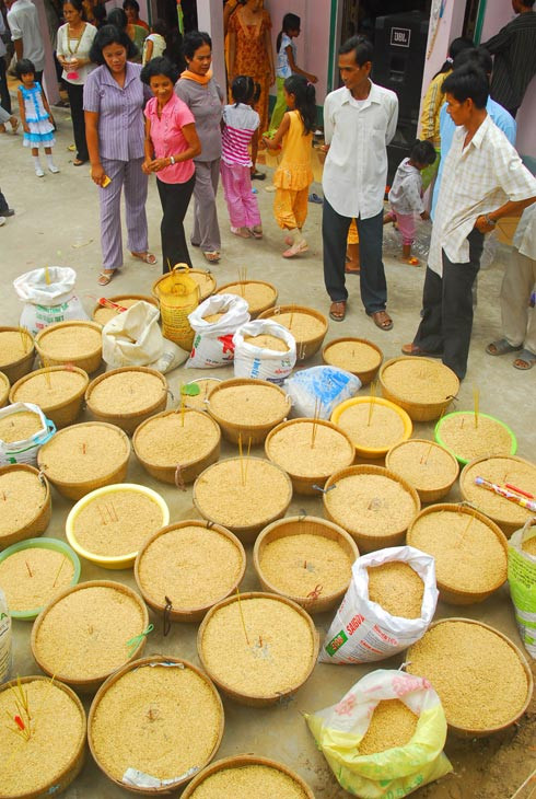 Năm nay được mùa, bà con Khmer mang lúa đến lễ Phật.