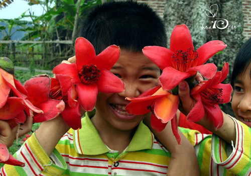 Nét hồn nhiên bên hoa Gạo.