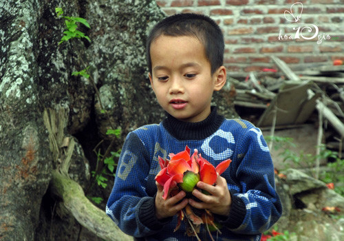 Nâng niu từng cánh hoa.