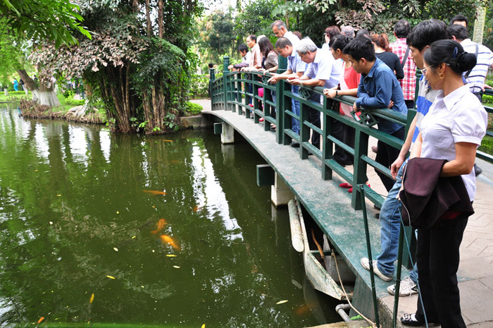 Chiếc cầu bắt qua một đoạn trên ao cá luôn đông người dừng lại ngắm nhìn các loại cá đang bơi lội. Chiếc cầu bắt qua một đoạn trên ao cá luôn đông người dừng lại ngắm nhìn các loại cá đang bơi lội.