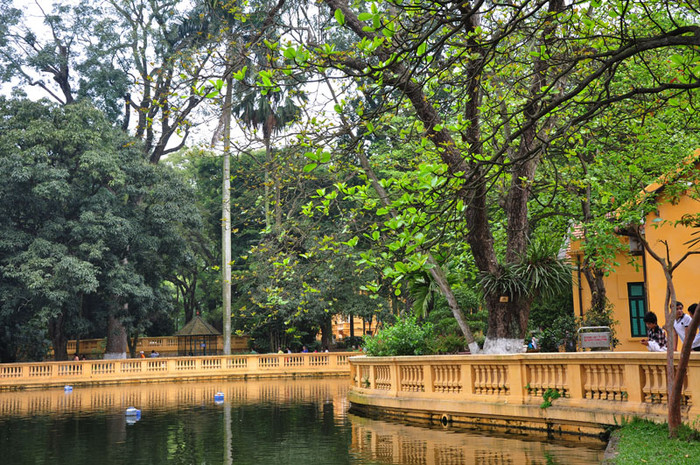 Những cây bàng quanh ao cá cũng đang đua nhau nở những nhành lá non xanh mướt để thu hút tầm nhìn của du khách tới đây. Những cây bàng quanh ao cá cũng đang đua nhau nở những nhành lá non xanh mướt để thu hút tầm nhìn của du khách tới đây.