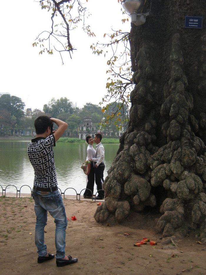 Đôi bạn trẻ đang chụp ảnh cưới dưới gốc cây gạo cổ thụ bên bờ hồ Gươm. Đôi bạn trẻ đang chụp ảnh cưới dưới gốc cây gạo cổ thụ bên bờ hồ Gươm.