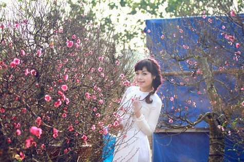 Ca sĩ Ngọc Khuê e ấp khoe sắc bên những cánh đào đang nở rộ Ca sĩ Ngọc Khuê e ấp khoe sắc bên những cánh đào đang nở rộ