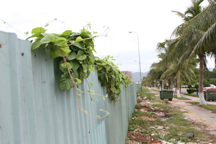 Cây dại mọc quá hàng rào chắn. Điều này minh chứng cho hoạt động của dự án là đã "đột tử" từ lâu. Cây dại mọc quá hàng rào chắn. Điều này minh chứng cho hoạt động của dự án là đã "đột tử" từ lâu.