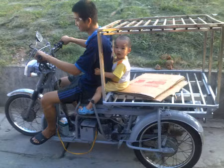 Lồng sắt bảo vệ.