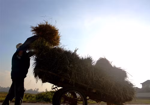 ...và chất đầy lên xe.