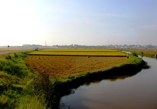 Ai đi xa lâu ngày trở về cũng ngây ngất bởi những cảnh đẹp này.