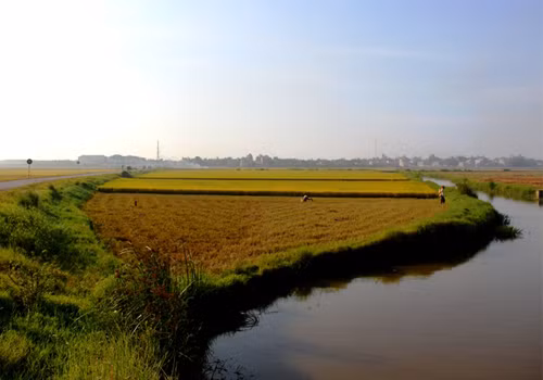 Ai đi xa lâu ngày trở về cũng ngây ngất bởi những cảnh đẹp này.