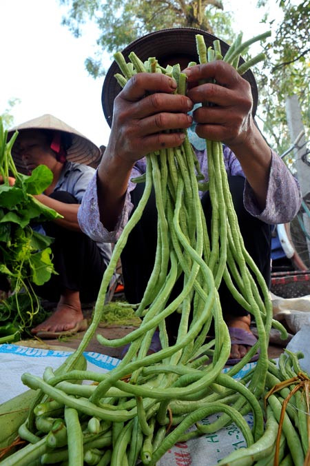 Những người bán rau nơi đây thường tự trồng tại vườn nhà mang đi bán. Những người bán rau nơi đây thường tự trồng tại vườn nhà mang đi bán.