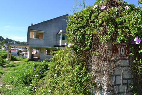 Ảnh: Biệt thự số 9, 10 bị gỡ không còn cánh cửa nào. Ảnh: Biệt thự số 9, 10 bị gỡ không còn cánh cửa nào.