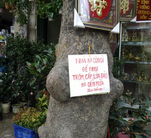 Cảnh báo nhà đã hết tài sản để trộm cắp khỏi vào. Ảnh: Internet. Cảnh báo nhà đã hết tài sản để trộm cắp khỏi vào. Ảnh: Internet.