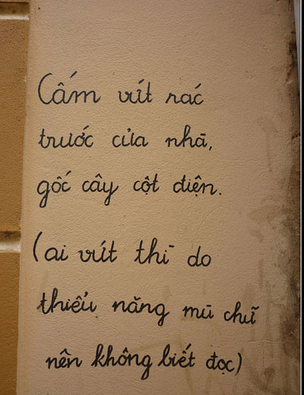 Ảnh: Internet. Ảnh: Internet.