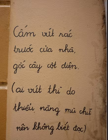 Ảnh: Internet. Ảnh: Internet.