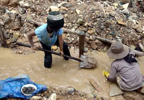 Các em lớn nhỏ đều không đi học mà vào rừng cùng đãi thiếc với anh chị, ba mẹ. Các em lớn nhỏ đều không đi học mà vào rừng cùng đãi thiếc với anh chị, ba mẹ.