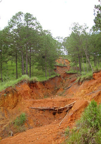 Xẻ núi đất đá, bơm nước lên để đãi thiếc và canh tác các vườn cà phê nhỏ trong rừng. Xẻ núi đất đá, bơm nước lên để đãi thiếc và canh tác các vườn cà phê nhỏ trong rừng.