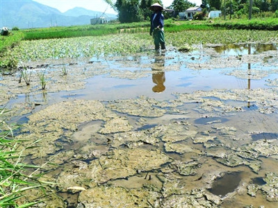 Ảnh minh họa: Nguyễn Huy/ Tiền Phong. Ảnh minh họa: Nguyễn Huy/ Tiền Phong.
