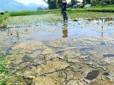 Ảnh minh họa: Nguyễn Huy/ Tiền Phong. Ảnh minh họa: Nguyễn Huy/ Tiền Phong.