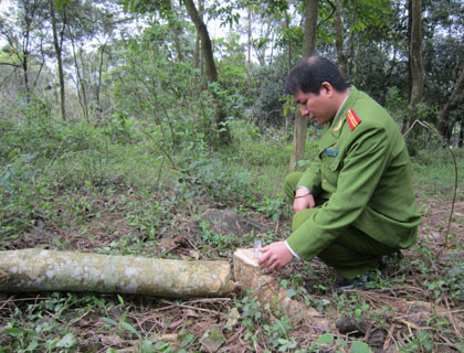 Ảnh minh họa. (Nguồn: Internet) Ảnh minh họa. (Nguồn: Internet)