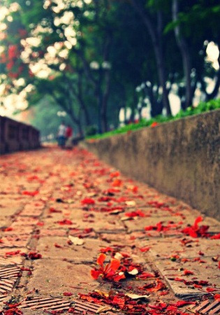 Những con đường tôi đã đi qua. Những con đường tôi đã đi qua.