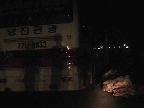 Xe 77L - 0833 đang bốc thịt thối lên xe. Ảnh: Kim Cương. Xe 77L - 0833 đang bốc thịt thối lên xe. Ảnh: Kim Cương.