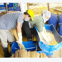 Cơ sở sản xuất tăm của anh T.