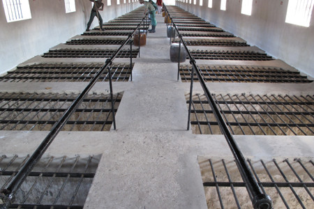 Nhà tù Côn Đảo Nhà tù Côn Đảo do người Pháp xây dựng từ năm 1862 được nhận danh hiệu Hệ thống di tích lịch sử nhà tù trên đảo lớn nhất. Ảnh: Chuồng cọp trong hệ thống nhà tù Côn Đảo (Nguồn: VnExpress).