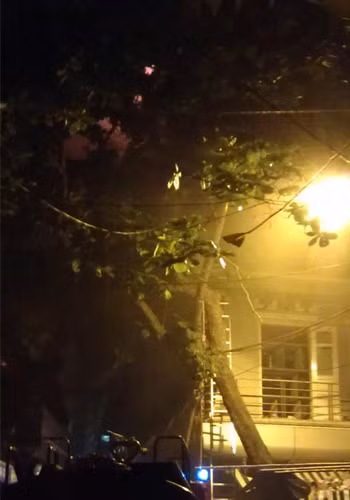 Các hộ gia đình bên phía hàng đào gần đó đã di chuyển hàng hóa, tạo lên một cảnh tượng hỗn loạn. Rất may chỉ có thiệt hại về vật chất, ko có ai bị thương.