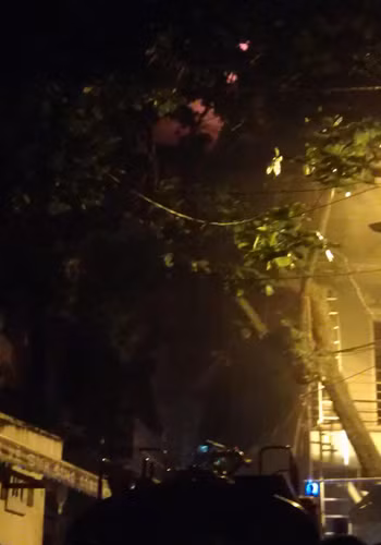 Lính cứu hỏa đã phải phá cửa, để vào căn nhà bắt nguồn của vụ cháy, căn nhà thực chất là kho chứa hàng nên cửa khóa rất cẩn thận gây khó khăn trong việc chữa cháy.