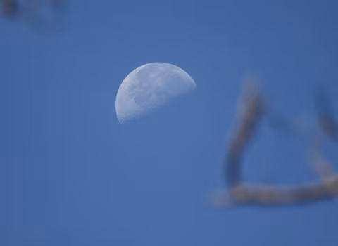 Mặt trăng nhìn từ vườn quốc gia. Mặt trăng nhìn từ vườn quốc gia.