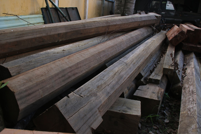 Số gỗ vi phạm đang tạm giữ tại Hạt Kiểm lâm Phước Sơn. Ảnh T.L Số gỗ vi phạm đang tạm giữ tại Hạt Kiểm lâm Phước Sơn. Ảnh T.L