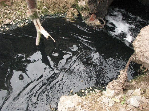 Kênh, mương.. "chết" tại khu vực xóm lẻ- Triều Khúc- Hà Nội do nước thải từ các khu công nghiệp, khu chế xuất. các hộ kinh doanh của chủ trang trại chăn nuôi. Kênh, mương.. "chết" tại khu vực xóm lẻ- Triều Khúc- Hà Nội do nước thải từ các khu công nghiệp, khu chế xuất. các hộ kinh doanh của chủ trang trại chăn nuôi.